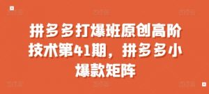 拼多多打爆班原创高阶技术第41期，拼多多小爆款矩阵-沐风资源库
