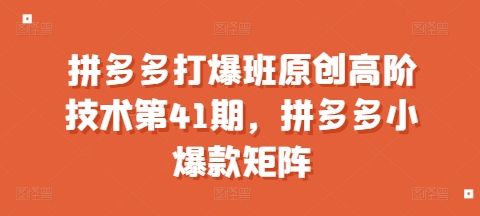 拼多多打爆班原创高阶技术第41期，拼多多小爆款矩阵-沐风资源库