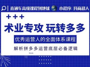 术业专攻玩转多多，优秀运营人的全面体系课程，解析拼多多运营底层必备逻辑-沐风资源库