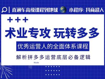 术业专攻玩转多多，优秀运营人的全面体系课程，解析拼多多运营底层必备逻辑-沐风资源库