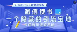微信读书,一个隐藏的引流宝地,不为人知的小众打法,日引流300+精准创业粉,长尾流量源源不断-沐风资源库