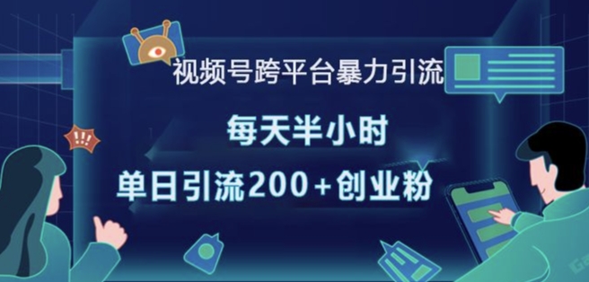 视频号跨平台暴力引流，每天半小时，单日引流200+精准创业粉-沐风资源库
