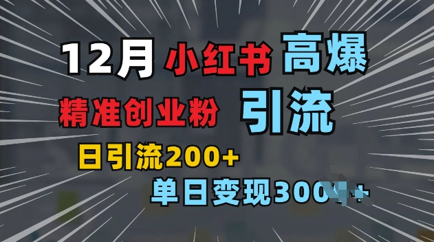 小红书一张图片“引爆”创业粉，单日+200+精准创业粉 可筛选付费意识创业粉【揭秘】-沐风资源库