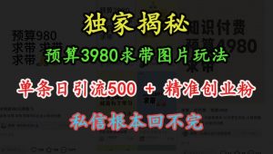 预算3980求带 图片玩法，单条日引流500+精准创业粉，私信根本回不完-沐风资源库