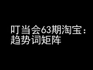 《淘宝天猫打爆班》原创高阶技术第63期，趋势词矩阵技术和玩法-沐风资源库