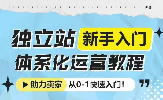 独立站新手入门体系化运营教程，助力独立站卖家从0-1快速入门!-沐风资源库