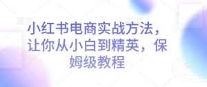 小红书电商实战方法，让你从小白到精英，保姆级教程-沐风资源库