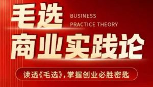 毛选商业实践论，读透《毛选》掌握创业必胜密匙-沐风资源库