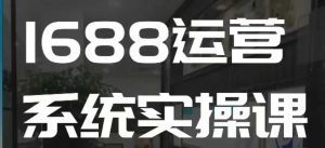 1688高阶运营系统实操课，快速掌握1688店铺运营的核心玩法-沐风资源库