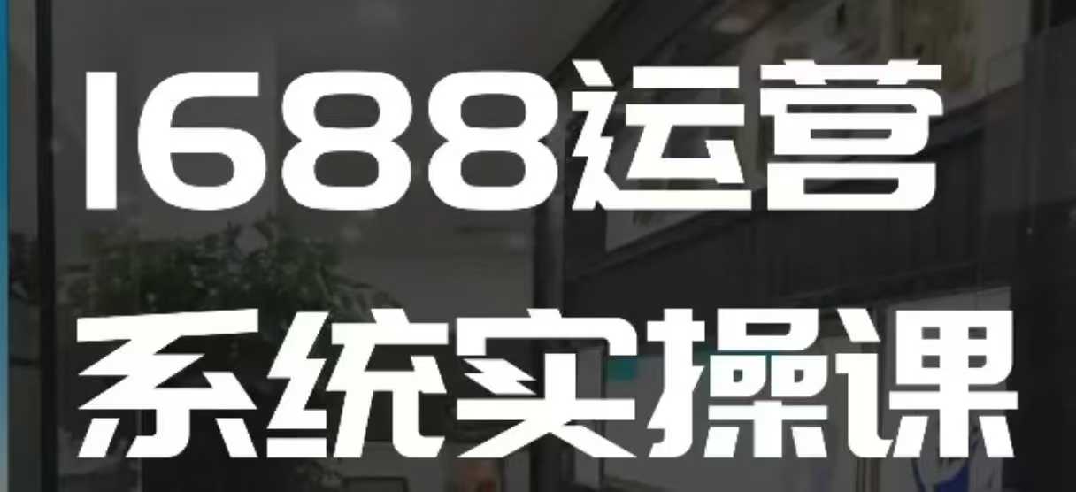 1688高阶运营系统实操课，快速掌握1688店铺运营的核心玩法-沐风资源库