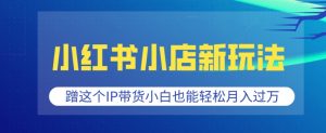 小红书小店新玩法，蹭这个IP带货，小白也能轻松月入过W【揭秘】-沐风资源库