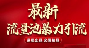 最新“流量池”无门槛暴力引流(全网首发)日引500+-沐风资源库