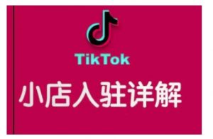 TikTok跨境小店运营全攻略，帮助你独立运营TK跨境小店的能力，实现销量增长-沐风资源库