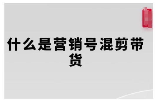 营销号混剪带货，从内容创作到流量变现的全流程，教你用营销号形式做混剪带货-沐风资源库