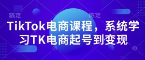 TikTok电商课程，​系统学习TK电商起号到变现-沐风资源库