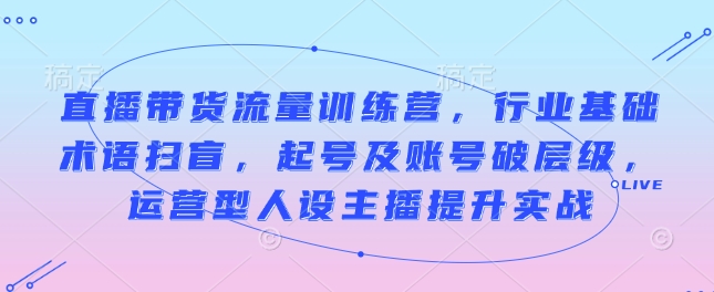 直播带货流量训练营，行业基础术语扫盲，起号及账号破层级，运营型人设主播提升实战-沐风资源库