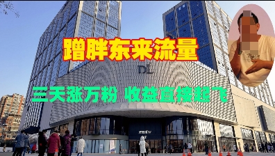 蹭胖东来流量，三天涨万粉，收益直接起飞-沐风资源库