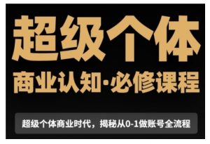 超级个体商业认知觉醒视频课，商业认知·必修课程揭秘从0-1账号全流程-沐风资源库