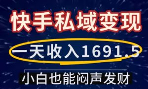 一天收入1691.5，快手私域变现，小白也能闷声发财-沐风资源库