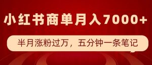 小红书商单最新玩法，半个月涨粉过万，五分钟一条笔记，月入7000+-沐风资源库