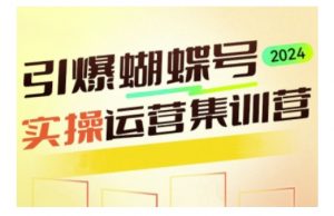 引爆蝴蝶号实操运营，助力你深度掌握蝴蝶号运营，实现高效实操，开启流量变现之路-沐风资源库
