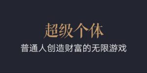超级个体：2024-2025翻盘指南，普通人创造财富的无限游戏-沐风资源库