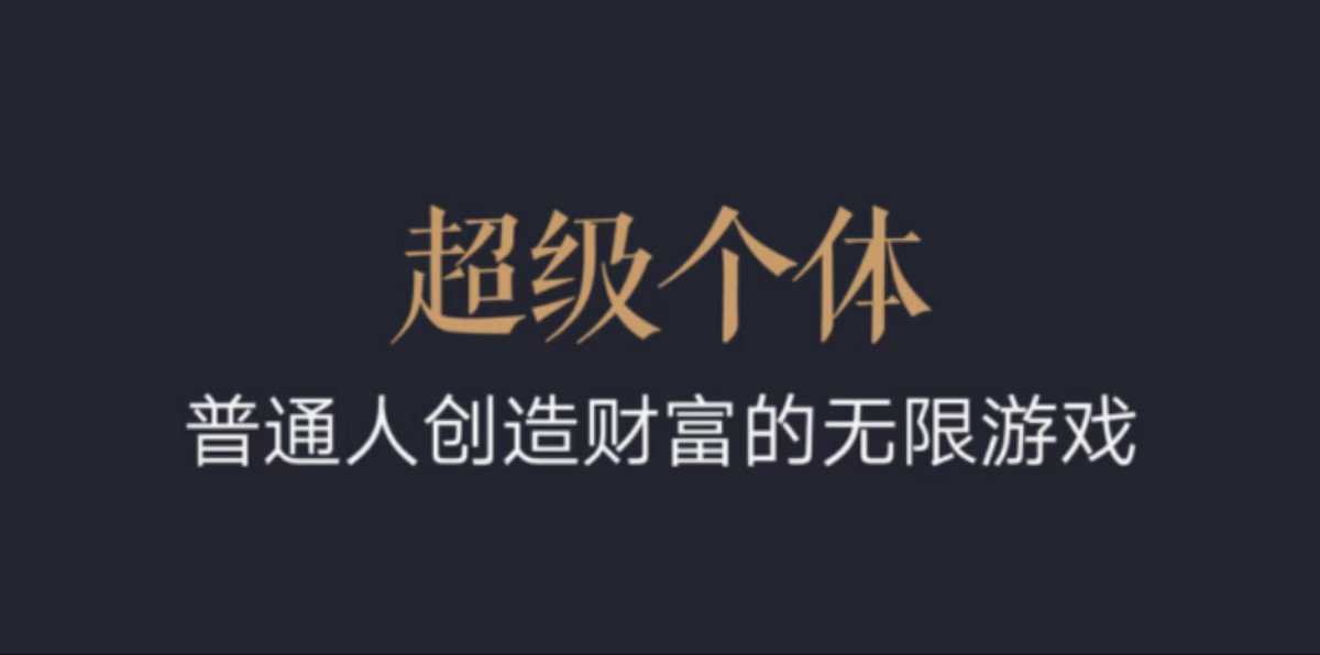 超级个体：2024-2025翻盘指南，普通人创造财富的无限游戏-沐风资源库