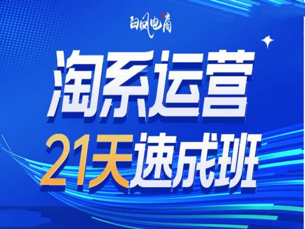 淘系运营21天速成班35期，年前最后一波和2025方向-沐风资源库
