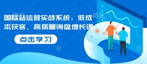 国际站运营实战系统：低成本获客，高质量询盘增长课-沐风资源库