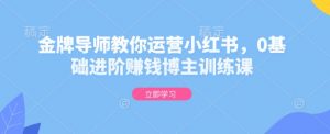金牌导师教你运营小红书，0基础进阶赚钱博主训练课-沐风资源库