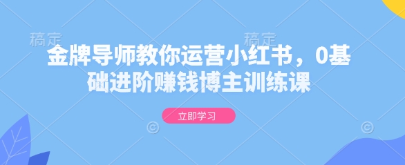 金牌导师教你运营小红书，0基础进阶赚钱博主训练课-沐风资源库