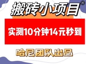 搬砖小项目，实测10分钟14元秒到，每天稳定几张(赠送必看稳定)-沐风资源库