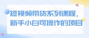 短视频带货系列课程，新手小白可操作的项目-沐风资源库