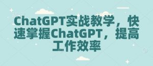 ChatGPT实战教学，快速掌握ChatGPT，提高工作效率-沐风资源库
