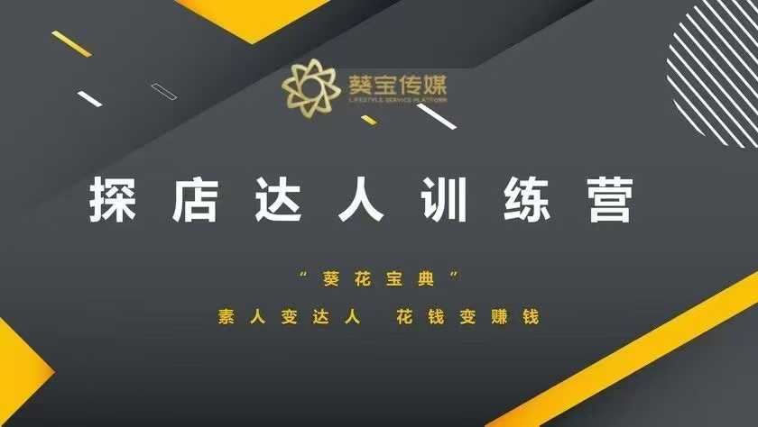 探店达人训练营，素人变达人，花钱变赚钱-沐风资源库