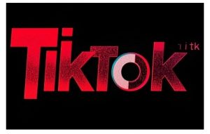 TikTok ads投流秘籍，涵盖tiktok整体投放思路，教你搭建测试计划-沐风资源库