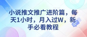 小说推文推广进阶篇，每天1小时，月入过W，新手必看教程-沐风资源库
