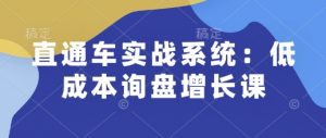 直通车实战系统：低成本询盘增长课，让个人通过技能实现升职加薪，让企业低成本获客，订单源源不断-沐风资源库
