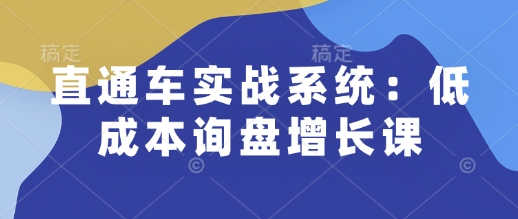 直通车实战系统：低成本询盘增长课，让个人通过技能实现升职加薪，让企业低成本获客，订单源源不断-沐风资源库