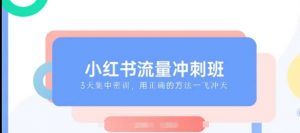 小红书流量冲刺班2025，最懂小红书的女人，快速教你2025年入局小红书-沐风资源库