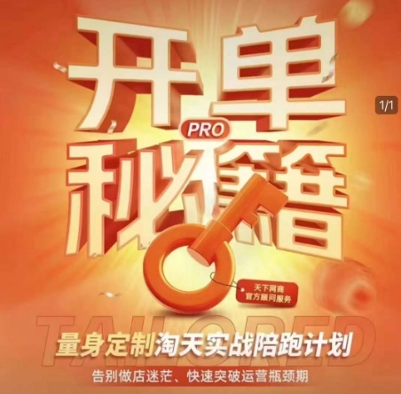 淘宝开单秘籍PRO，量身定制淘天实战陪跑计划，告别做店迷茫、快速突破运营瓶颈期-沐风资源库