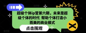 超级个体ip营第六期，未来是超级个体的时代  帮助个体打造小而美的商业模式-沐风资源库
