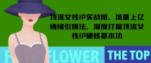 顶流女性IP实战班，流量上亿情绪引爆法，深度打磨顶流女性IP硬核基本功-沐风资源库