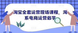 淘宝全套运营现场课程，淘系电商运营必学-沐风资源库