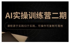 AI实操训练营二期，课程源于实践归于实践，可操作可复制可落地-沐风资源库