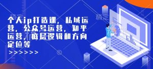 个人ip打造课，私域运营，公众号运营，知乎运营，底层逻辑和方向定位等-沐风资源库