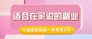 适合在家做的副业，小红书冷知识账号，无脑复制粘贴一单变现300-沐风资源库