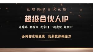 互联网项目天花板，超级合伙人IP，全网都在割韭菜，我来教你做镰刀【仅揭秘】-沐风资源库