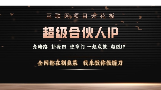 互联网项目天花板，超级合伙人IP，全网都在割韭菜，我来教你做镰刀【仅揭秘】-沐风资源库