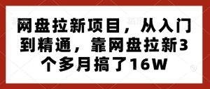 网盘拉新项目，从入门到精通，靠网盘拉新3个多月搞了16W-沐风资源库